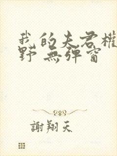 我的夫君权倾朝野 无弹窗