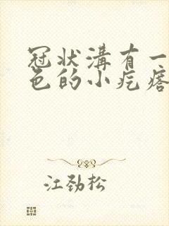 冠状沟有一个红色的小疙瘩