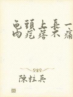 龟头上长一个小肉疙瘩不痛不痒