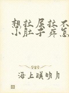 想拉屎拉不出来小肚子疼怎么回事