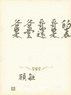 爸爸哥哥的儿子是堂还是表