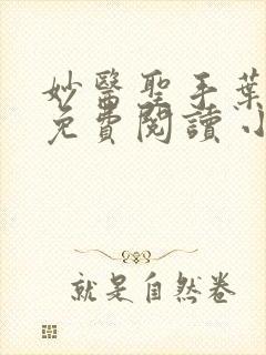 妙医圣手叶皓轩免费阅读 小说