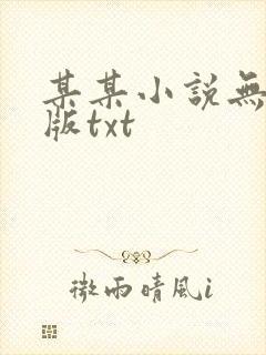 某某小说无删减版txt
