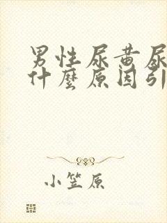 男性尿黄尿臭是什么原因引起的