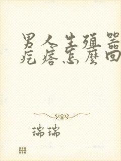 男人生殖器里有疙瘩怎么回事