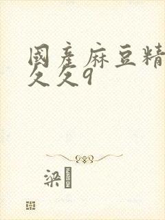 国产麻豆精品久久久9