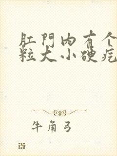 肛门内有个黄豆粒大小硬疙瘩封面