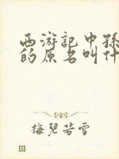 西游记中孙悟空的原名叫什么