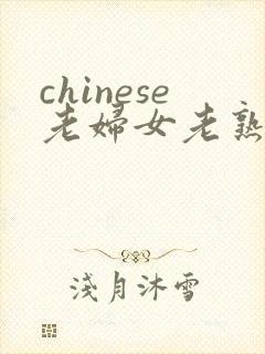 chinese老妇女老熟妇hd