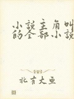 小说主角叫洛天的全部小说