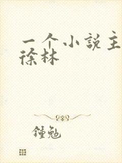 一个小说主角叫徐林