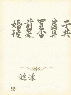 婚前买房子结婚后是否算共有财产封面