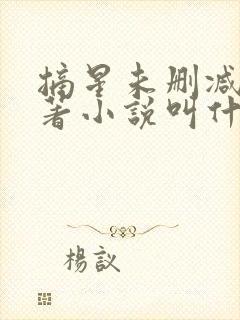 摘星未删减版原著小说叫什么