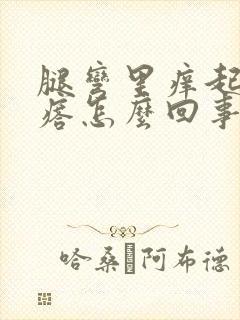 腿弯里痒起小疙瘩怎么回事