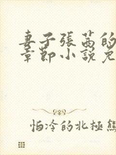 妻子张茜的最新章节小说免费阅读