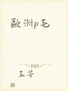 欧洲p毛封面