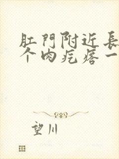 肛门附近长了一个肉疙瘩一碰就疼