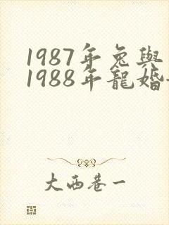 1987年兔与1988年龙婚姻是否相配