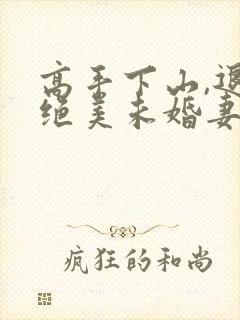 高手下山,退婚绝美未婚妻全集封面