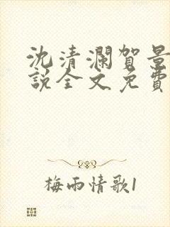 沈清澜贺景承小说全文免费阅读