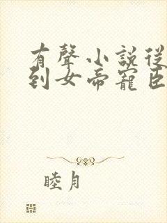 有声小说从赘婿到女帝宠臣免费听