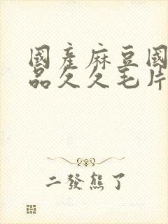 国产麻豆国精精品久久毛片封面