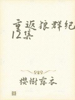 重返狼群纪念版12集