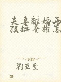 夫妻离婚两个小孩抚养权怎么判封面