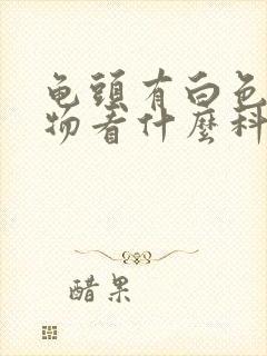 龟头有白色分泌物看什么科