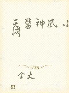 天医神凰 小说网封面