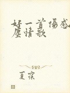 好一首伤感的红尘情歌封面