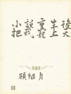 小说重生后渣总把我宠上天txt