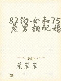82狗女和75兔男相配婚姻如何