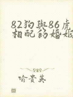 82狗与86虎相配的婚姻如何