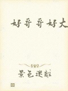 好哥哥好大好爽