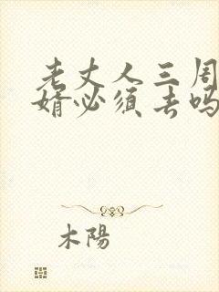 老丈人三周年女婿必须去吗封面