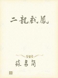 二龙戏凤