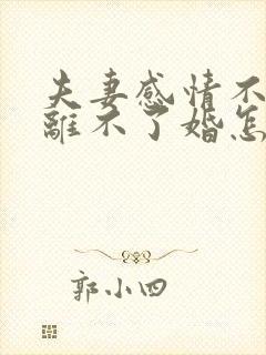 夫妻感情不好又离不了婚怎么办