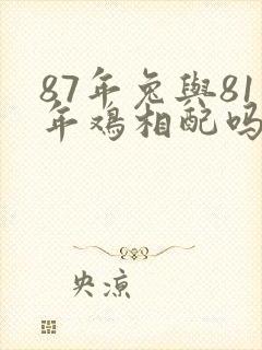 87年兔与81年鸡相配吗