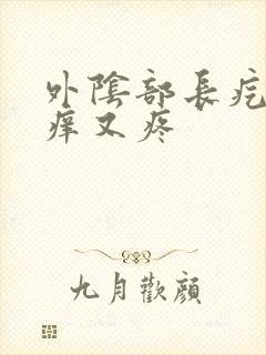 外阴部长疙瘩又痒又疼