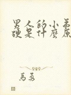 男人的小弟弟不硬是什么原因