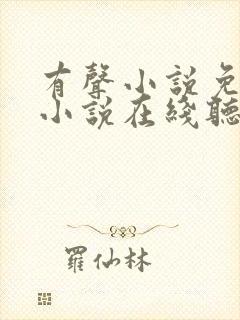 有声小说免费听小说在线听封面