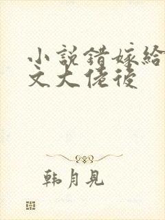 小说错嫁给年代文大佬后