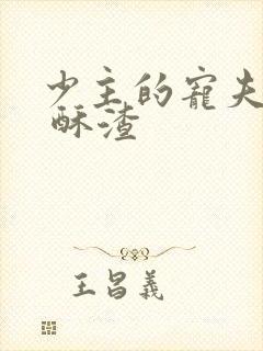 少主的宠夫女尊 酥渣