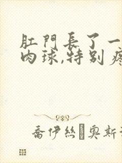 肛门长了一个硬肉球,特别疼封面