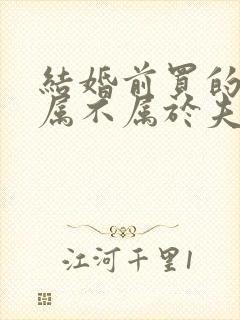 结婚前买的房子属不属于夫妻共同财产