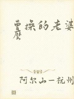 曹操的老婆叫什么