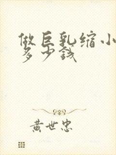 做巨乳缩小手术多少钱