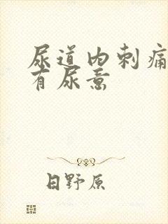 尿道内刺痛一直有尿意