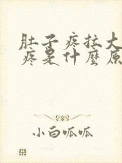 肚子疼拉大便也疼是什么原因